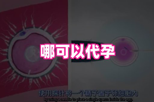 长沙助孕网站 1