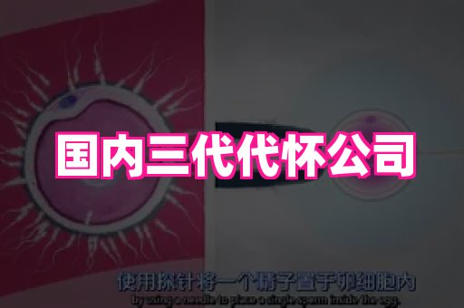 长沙助孕网站 2